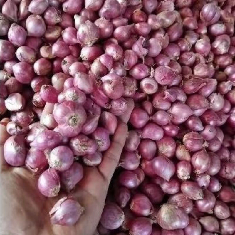 

BAWANG MERAH KECIL KERING 1KG PRODUK LOKAL