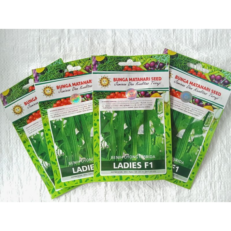 BENIH OYONG HIBRIDA UNGGUL LADIES /ISI 25 BTR/KEMASAN KECIL/CAP BUNGA MATAHARI