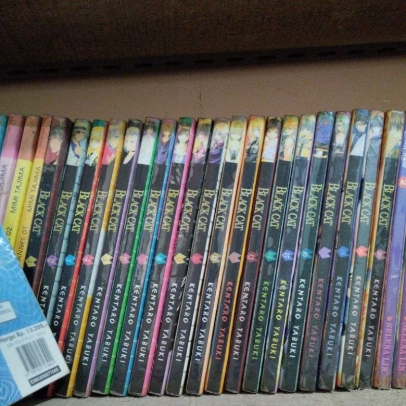 Komik Black Cat