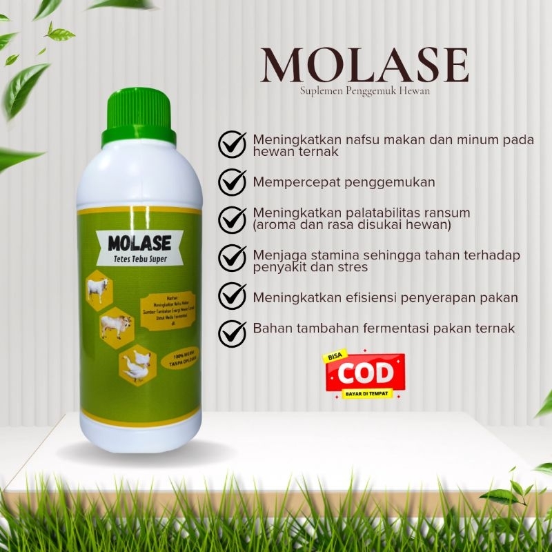 kambing cepat gemuk MOLASE Penggemuk Kambing dan Domba Suplemen penambah nafsu makan hewan Ternak Mo