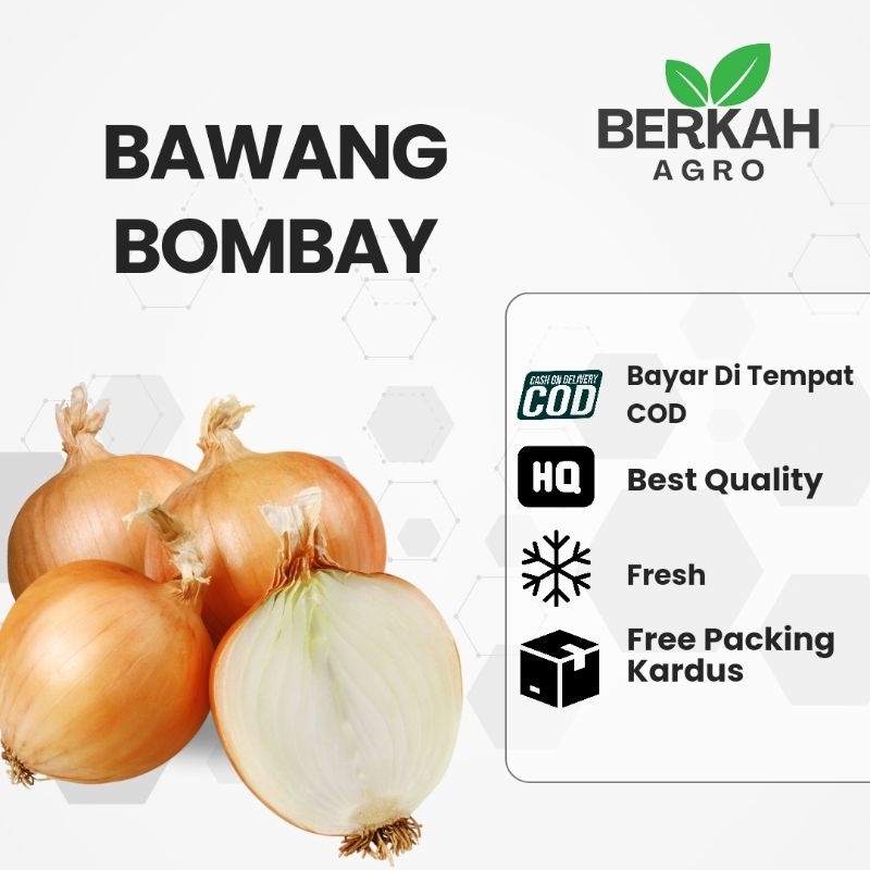 

Bawang Bombay 1kg Fresh Terbaik