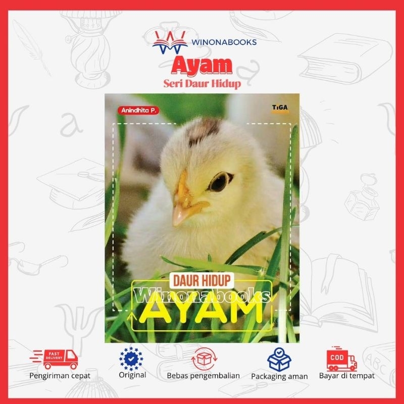 Seri Daur Hidup : Ayam winonabooks × buku cerita anak