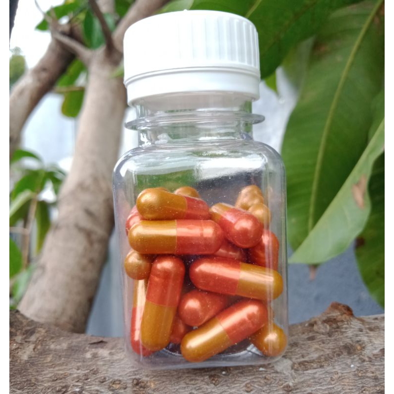 KJP Extra strong B / KJP / pelangsing / pil diet