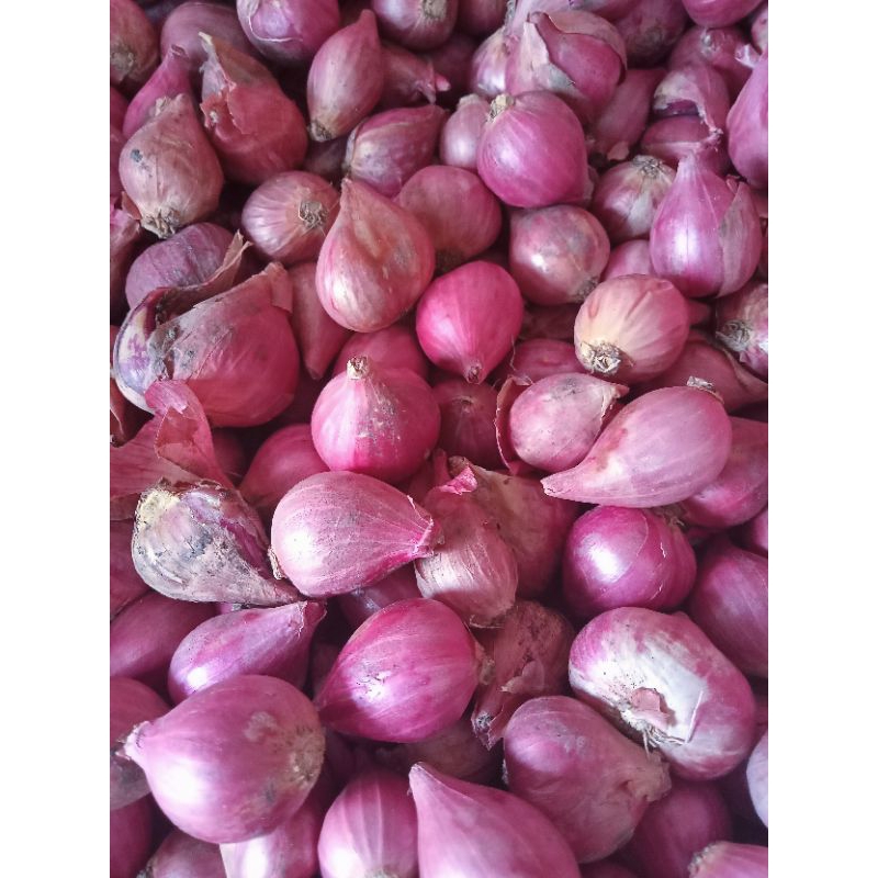 

Bawang merah