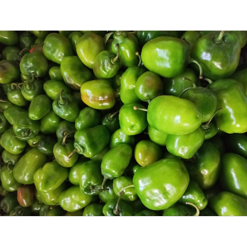 

cabe gendot fresh dan pedas@250gr