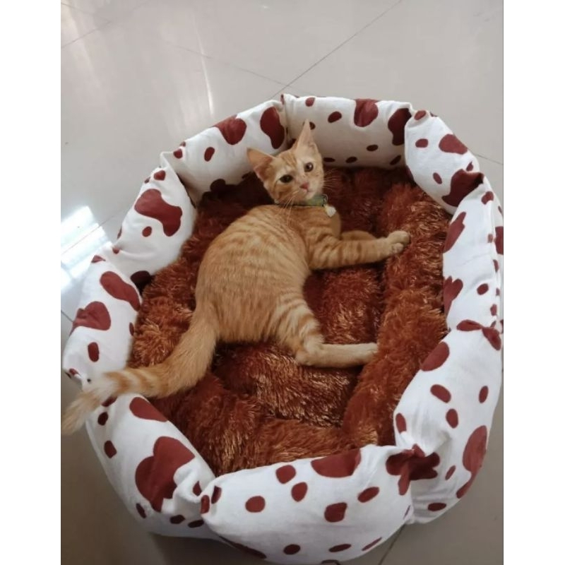 Kasur kucing lucu | kasur anjing | kasur anabul | tempat tidur kucing dan anjing
