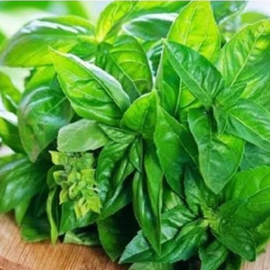 

Daun kemangi 100 gr