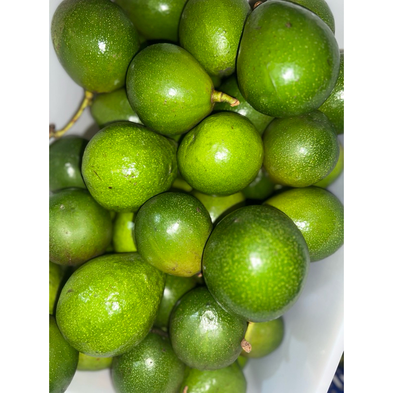 

Alpukat Mentega Super