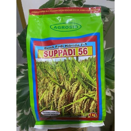 TERMURAH SUPPADI 56 F1 SUPADI 56 ORI ORIGINAL ASLI 100% kemasan 1 kg Exp. JUNI 2025