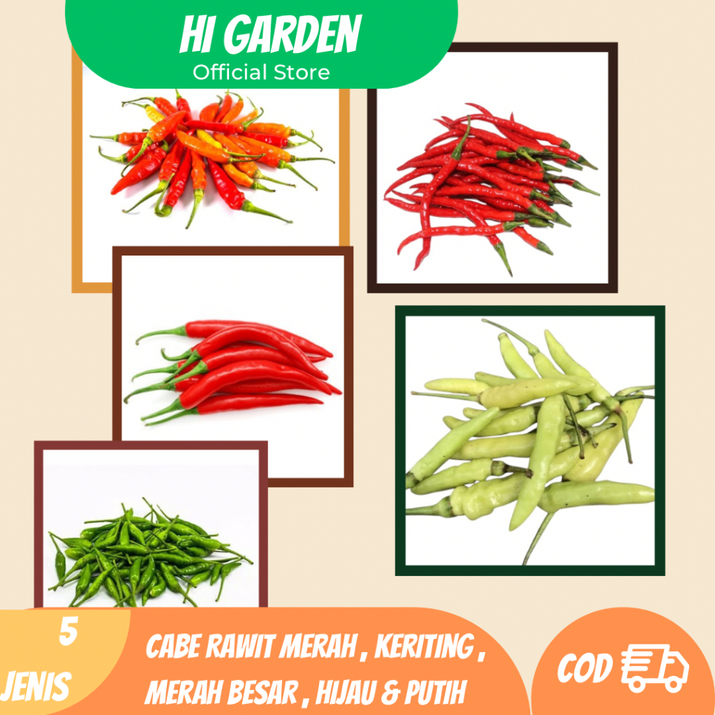 Paket 5 Benih Cabai Premium – Rawit Merah, Rawit Hijau, Rawit Putih, Cabai Merah Besar, Cabai Keriti