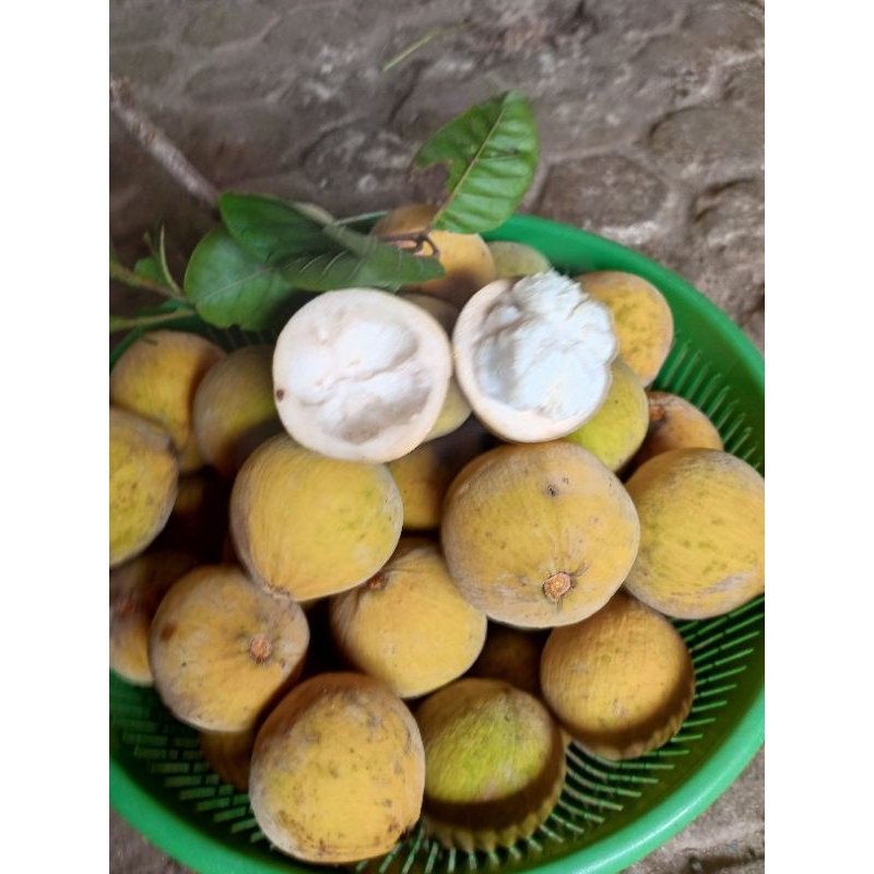 

BUAH KECAPI segar 100% original murah 1 kg