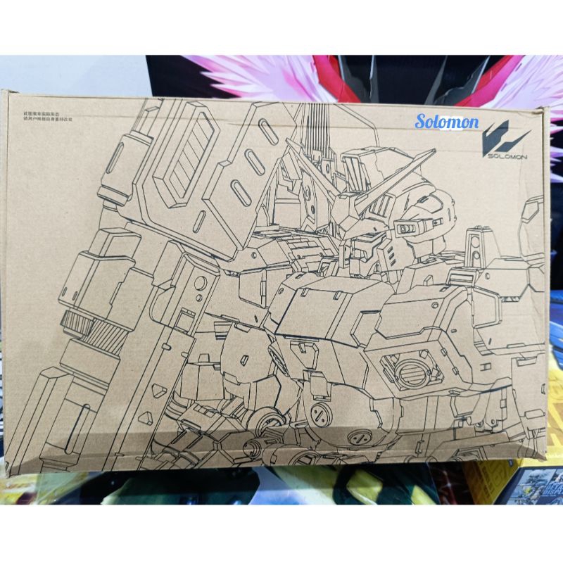 MG 1/100 Solomon Physalis