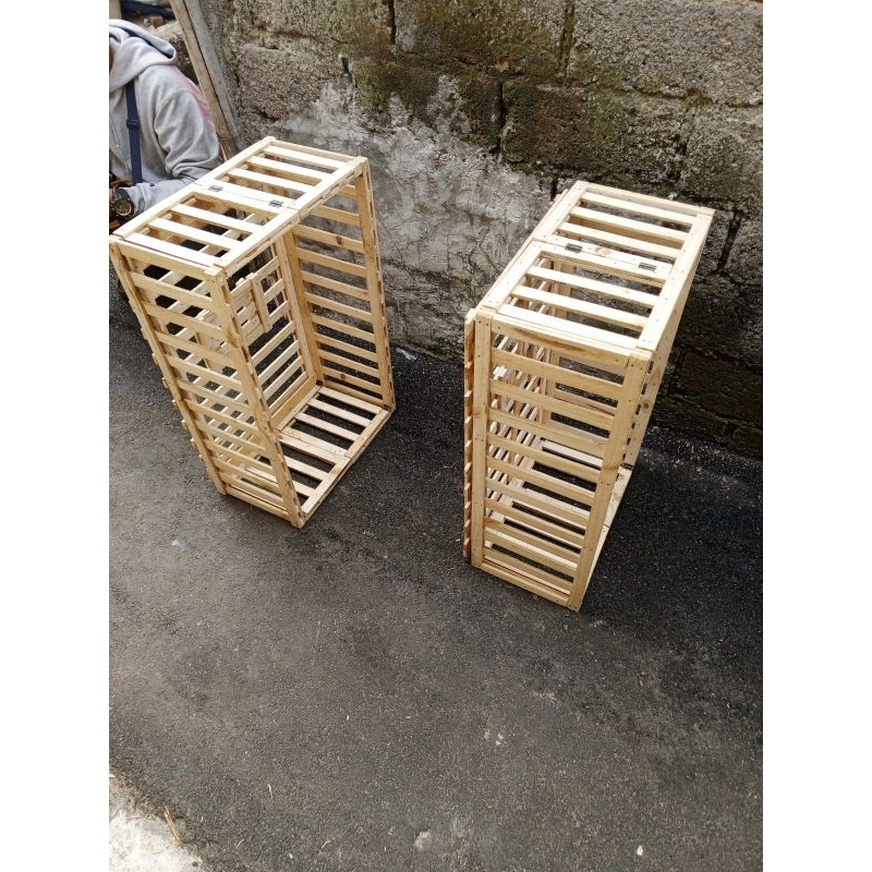 DONGDANG LIPAT KANDANG MERPATI BURUNG DARA