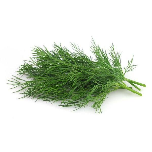 

daun dill 50 gram