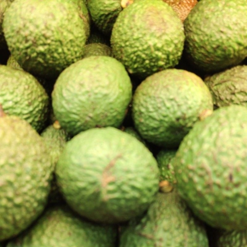 

avocado hass 1kg alpukat import