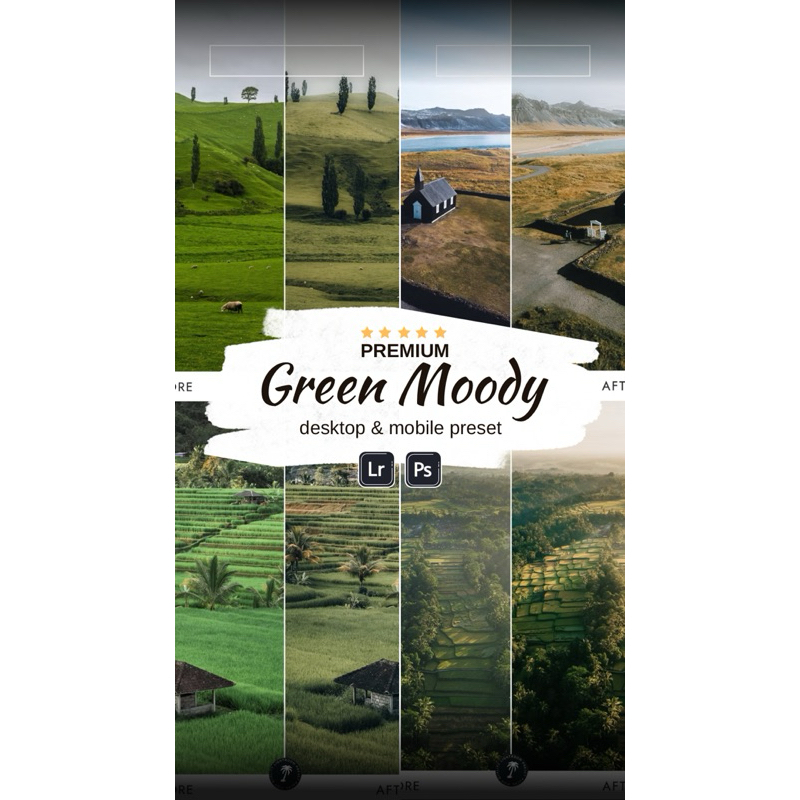 preset lightroom premium / LUTs video green moody 12 pack