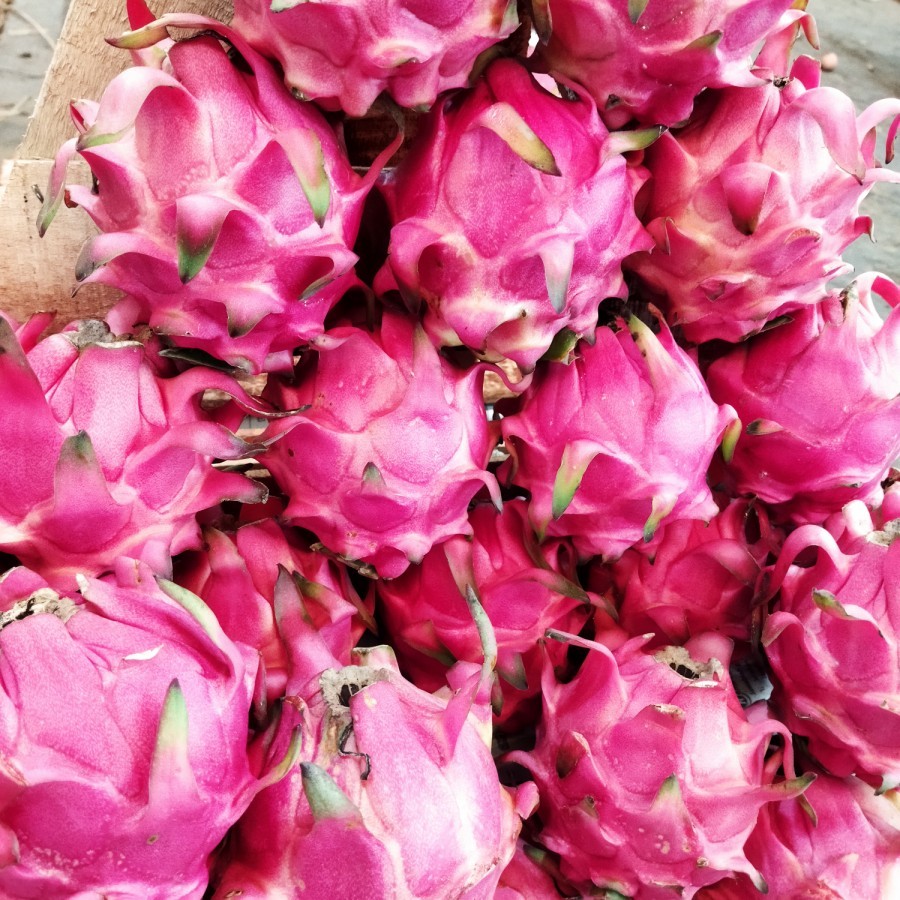 

BUAH NAGA MERAH ORIGINAL 500gram FRESH
