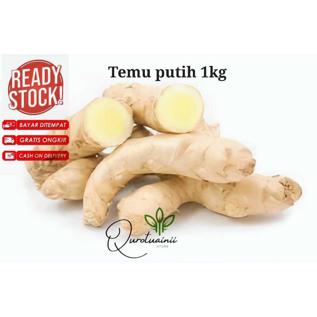 

1kg Temu putih atau kunyit putih murah