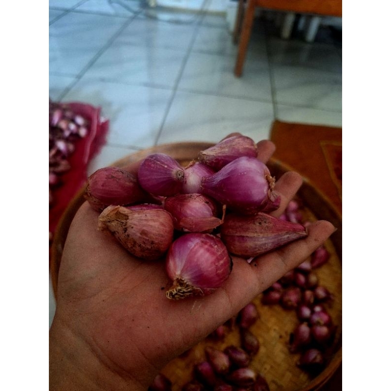 

Bawang merah lokal nganjuk besar 1/2kg