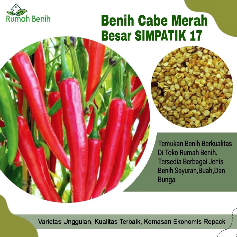 Benih Cabe Merah Simpatik 17 Tahan Virus / Bibit Benih Cabe Simpatik 17 / Biji Benih Cabe Merah Besa