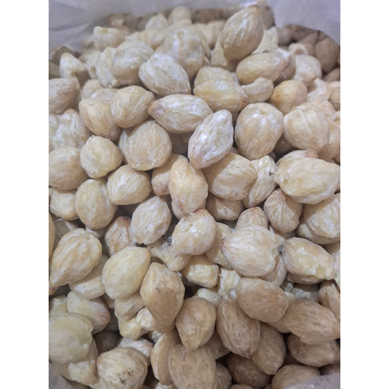 

Kemiri bulat premium kualitas terbaik