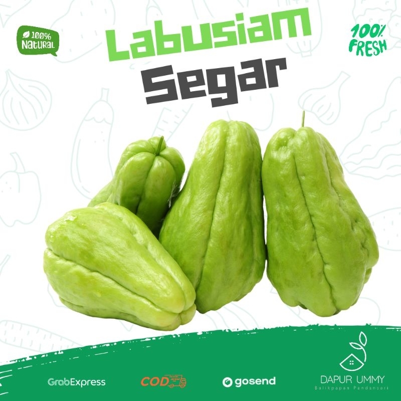 Labu siam Perbuah | Labu siam 500gr - 1kg
