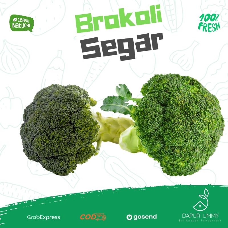 

BROKOLI • Sayur Brokoli Hijau Segar