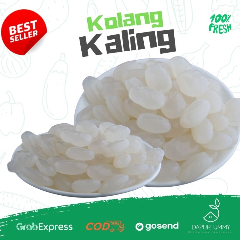 

Kolang Kaling 250g