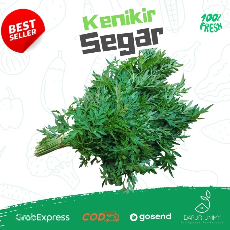 

Sayur Daun Kenikir 1 ikat | tidak selalu ada