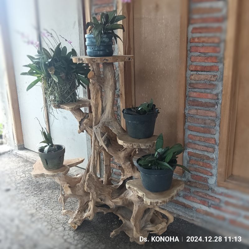 Rak bunga rak tanaman kayu jati alam