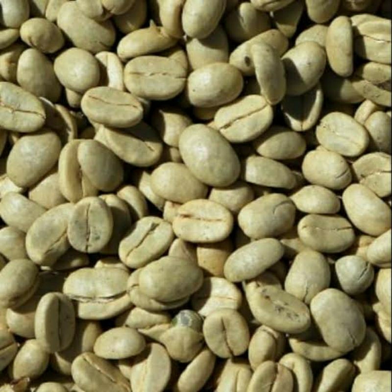

COD biji kopi Robusta mentah berkualitas bersih wangi 1 kg