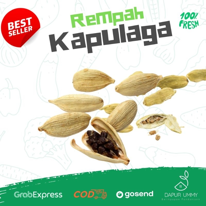 

REMPAH • Kapulaga india 100gr [Naik]