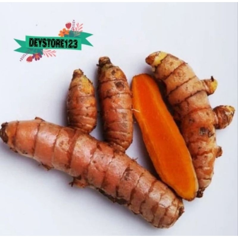

(Promo) Kunyit Kuning Sayur Segar /Kunyit Temen 1Kg