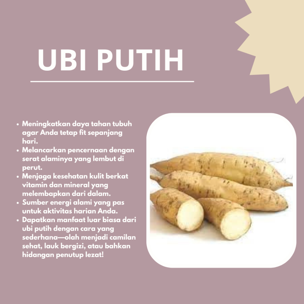 

ubi putih 1KG