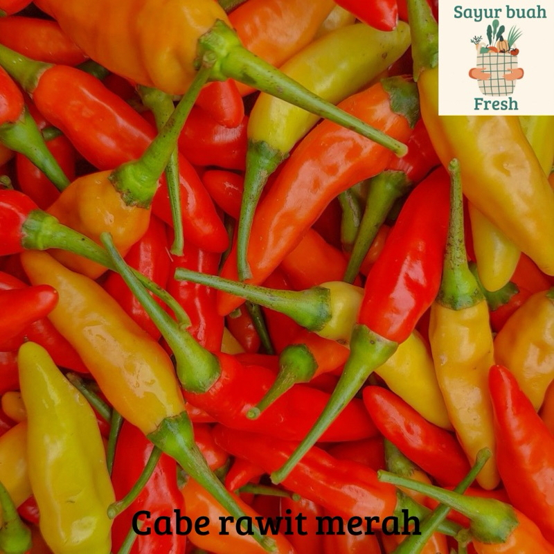 

cabe rawit merah super pedas