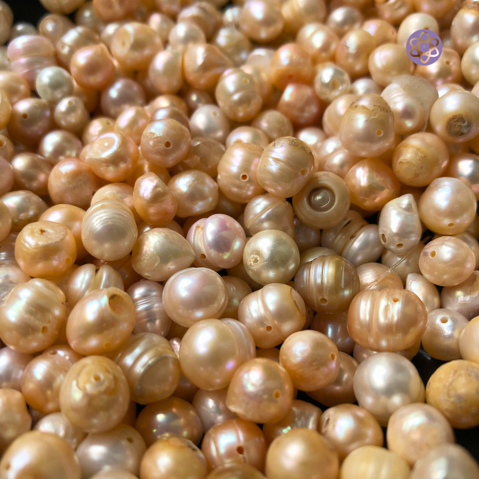 10 PCS Mutiara Air Tawar Asli 10 mm