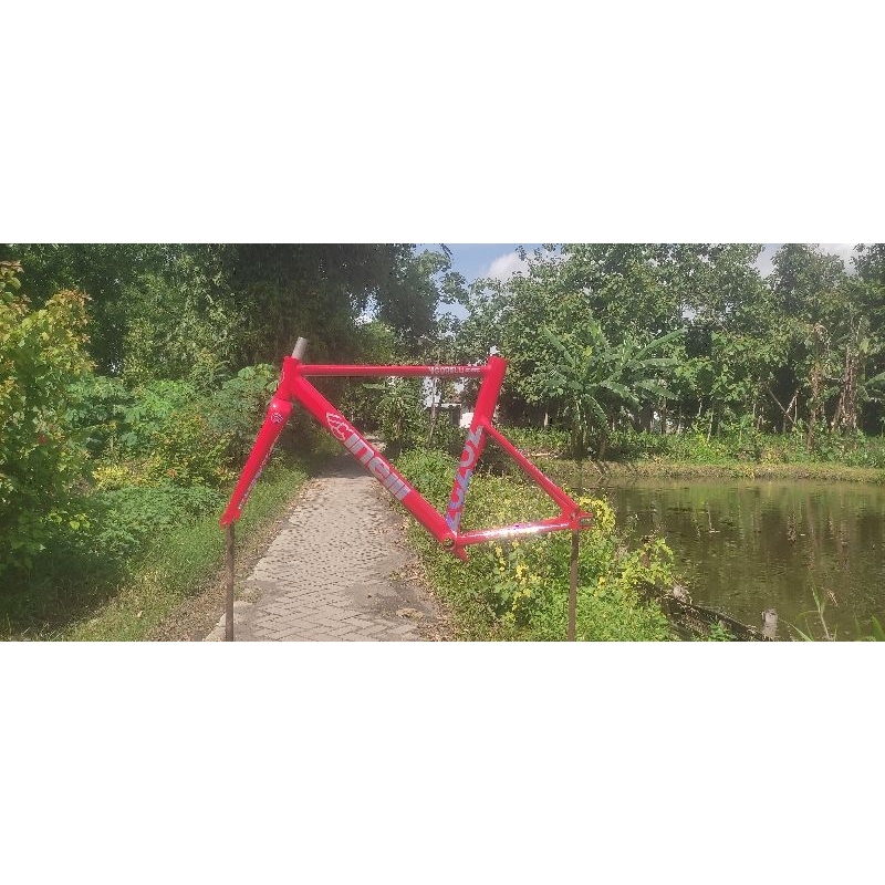 ready frame fork cinelli vigorelli shark custom