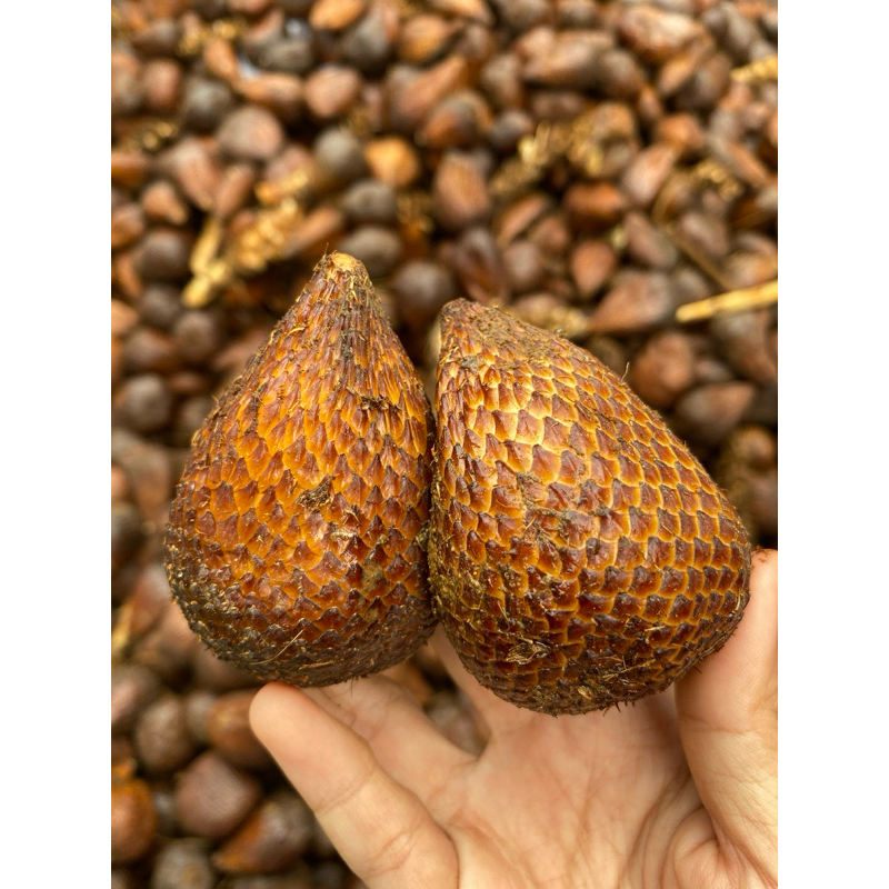 

Salak Pondoh Segar Berat 1 Kg