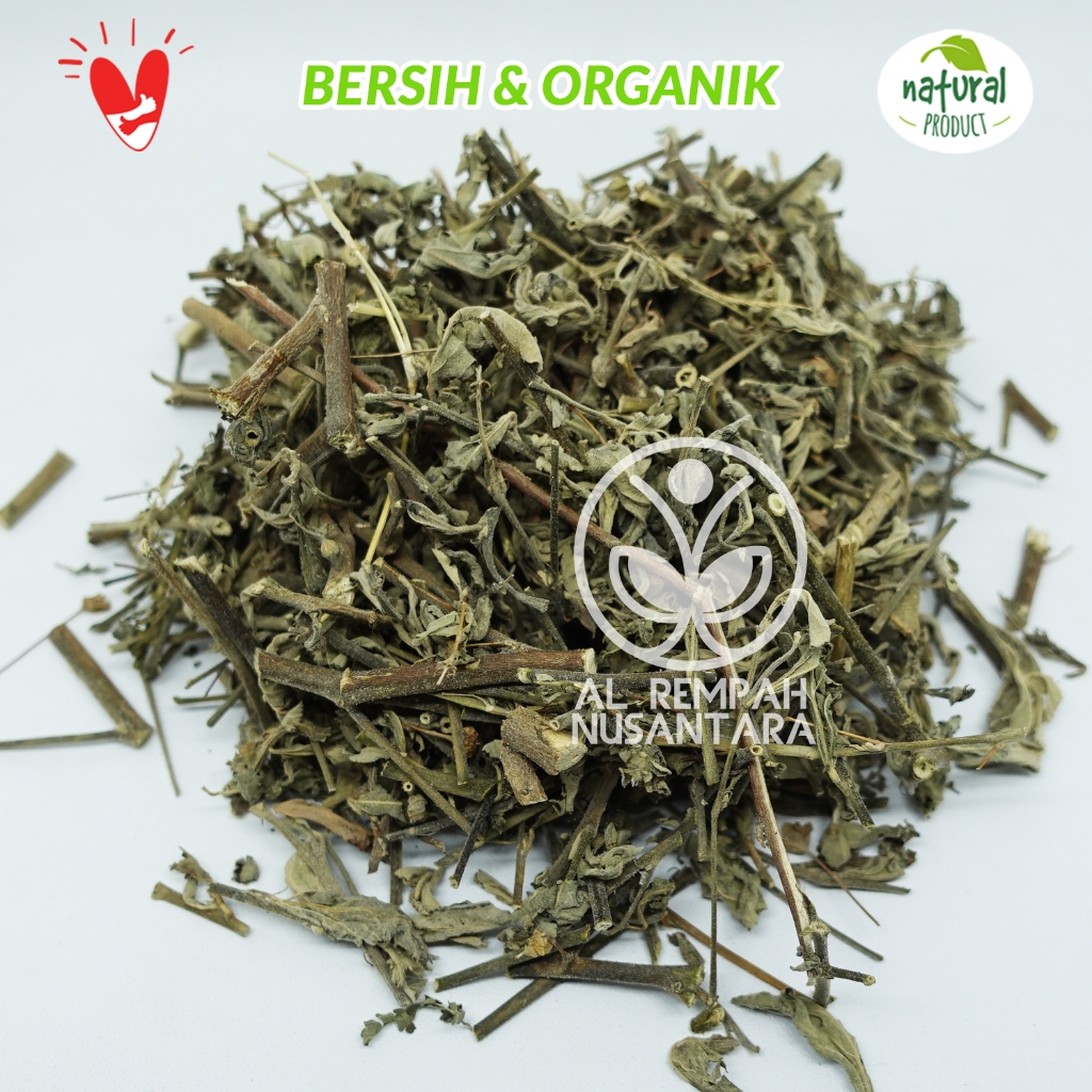 

Daun Sidaguri Kering 100gr Seleguri Bersih dan Organik