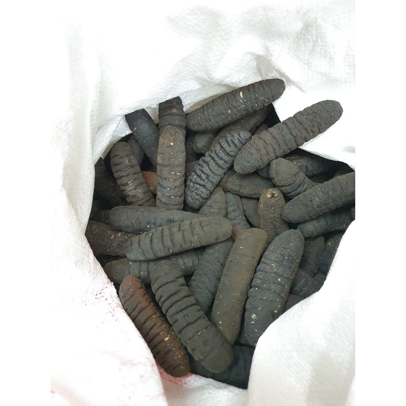 

Haisom / Tripang 1 kg isi 30