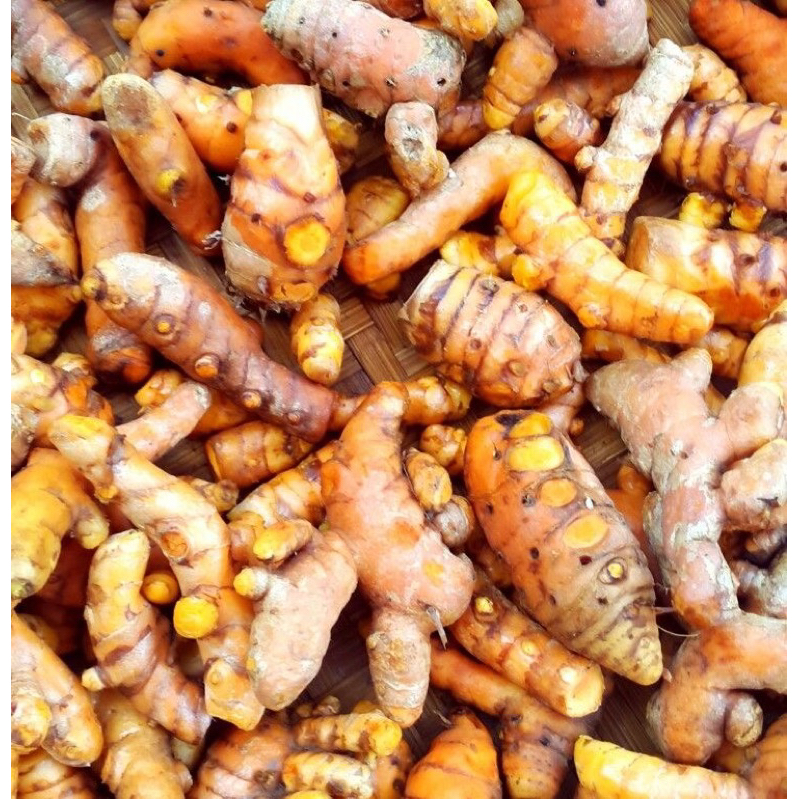

KUNYIT 500GRAM , JAMU REMPAH KUNYIT ASLI JAWATENGAH KEBUMEN