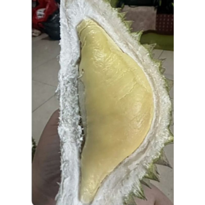 

duren chumasi/namlung bangka