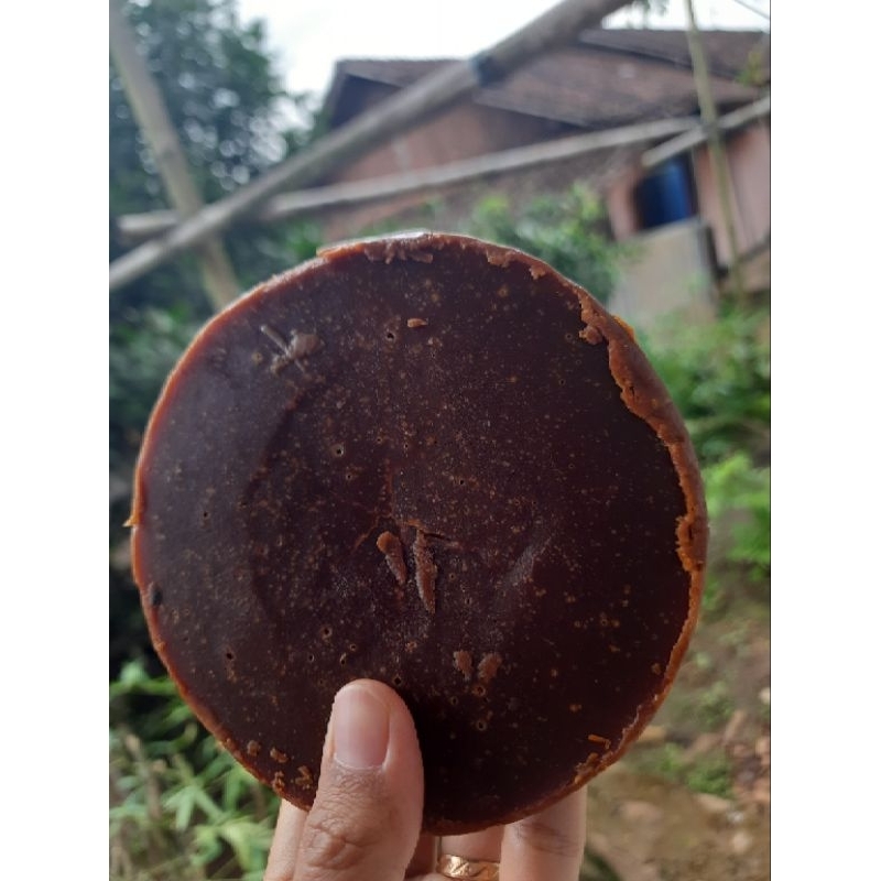 

GULA JAWA AREN ASLI ( GULA MERAH ) gula aren pilihan gula hitam coklat tua