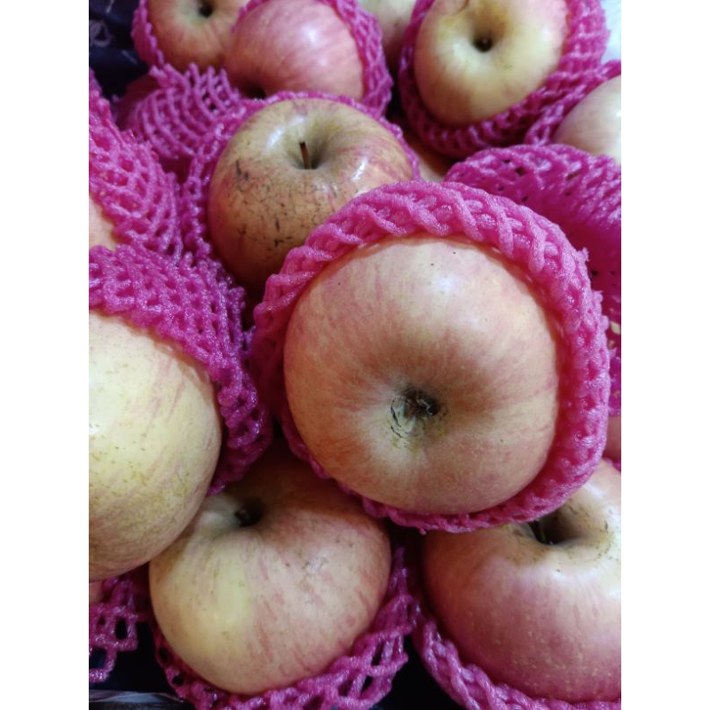 

apel puji segar 500gr