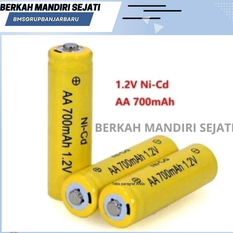 BATRAI CAS AA 1000 / 700 MAH [BMS]