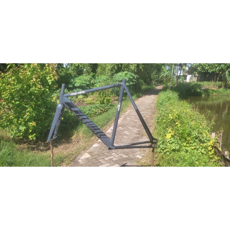 frameset manila animal custom steel