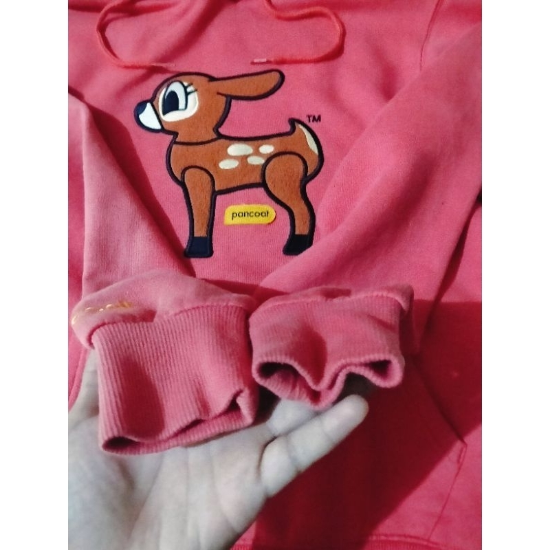 Hoodie pancoat art kancil