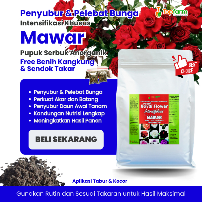 Pupuk Bunga dan Hias Mawar Lebat / Pupuk Mawar Berbunga Besar / Pupuk Tanaman Bunga Mawar Terbaik