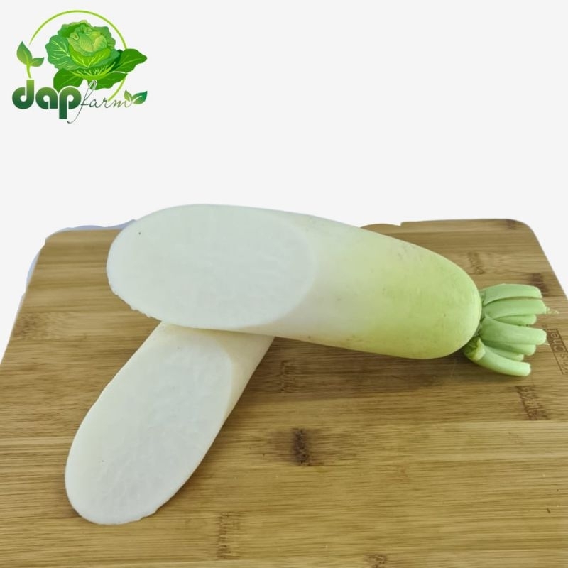 

Lobak Putih/ Daikon/ DAP Farm/ Sayur Segar Jakarta