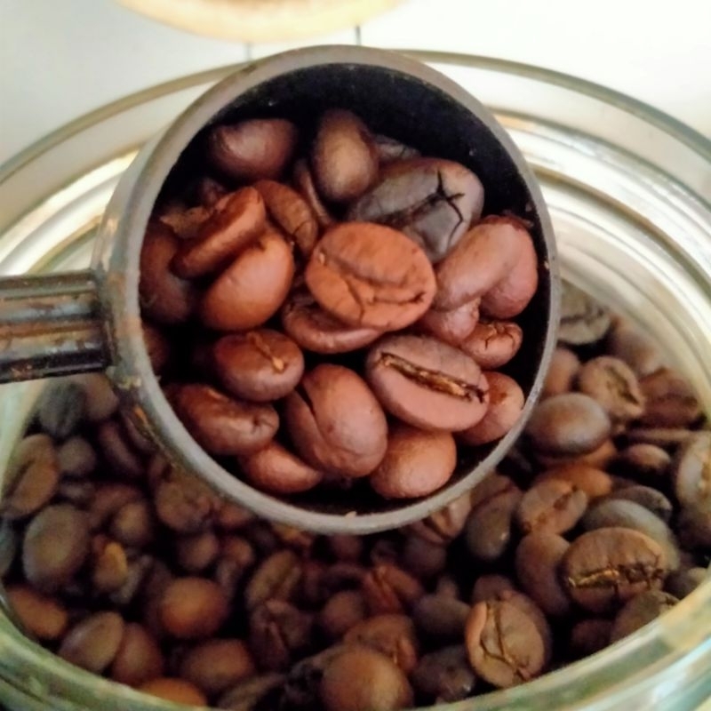 

Biji Kopi Robusta